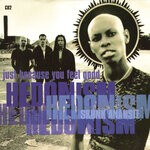 cover: Skunk Anansie - Hedonism (Just Because You Feel Good)