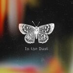 cover: StusRays - In The Dust