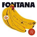 cover: Fontana - NN008