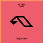 cover: ayokay - Feel It