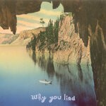 cover: Forest Law - Why You Lied