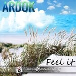 cover: Ardok - Feel It