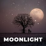 cover: Burton Stacey - Moonlight