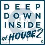 cover: Various - Deep Down Inside Of House 2