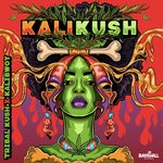 cover: Kalibwoy|Tribal Kush - Kalikush