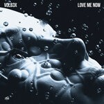 cover: VOLB3X - Love Me Now