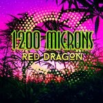 cover: 1200 Microns - Red Dragon