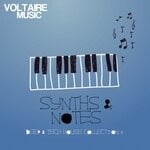 cover: Various - Synths And Notes 7.0