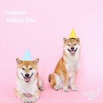 cover: Gubera - Follow Me