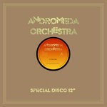 cover: Andromeda Orchestra - Crazy Lady