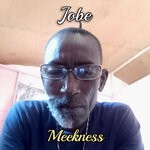 cover: Jobe - Meekness