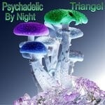 cover: Triangel - Psychedelic By Night (Club Edit)