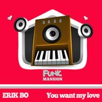 cover: Erik Bo - You Want My Love