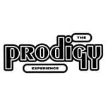 cover: The Prodigy - Experience