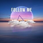 cover: Voxel Voya - Follow Me