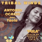 cover: TAOLA|Antonio Ocasio - Pula