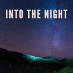 cover: Ty Bowie - Into The Night