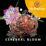 cover: DJ Hardhome - Cerebral Bloom