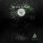 cover: Juliano Silva - Black Jungle