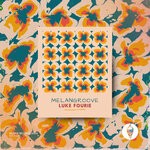 cover: Luke Fourie - Melangroove