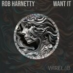 cover: Rob Harnetty - Want It