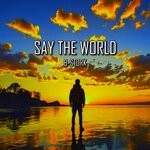 cover: B-Stork - Say The World