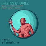 cover: Lido Leks|Tristan ChantZ - Feel It In My Heart