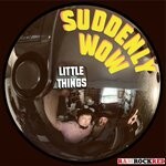 cover: Suddenly WOW - Little Things