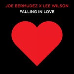 cover: Joe Bermudez|Lee Wilson - Falling In Love