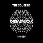 cover: The Squeeze - Amnesia