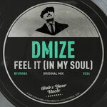 cover: DMIZE - Feel It (In My Soul)