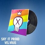 cover: velvrus - Say It Proud