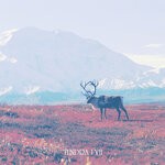 cover: Blamstrain - Tundra I-VII