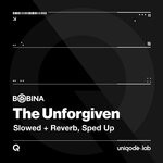 cover: Bobina - The Unforgiven