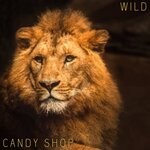 cover: Candy Shop - Wild