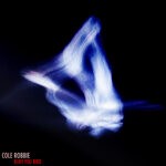 cover: Cole Robbie - Bury You Bird