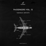 cover: ALEC BEN|MAUNELL & LEANDROFT|OURSPACE|SERGIO PARDO - Passengers Vol 12