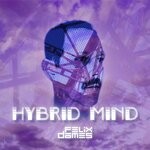 cover: Felix Dames - Hybrid Mind