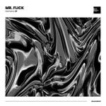 cover: Mr. Flick - Diametric EP