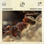 cover: 1BadBadams - Crunchy Deep