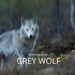 cover: Infraction Music - Grey Wolf