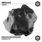 cover: Reducs - Aerial