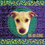 cover: Kim Ann Foxman - My Dog Has Fleas