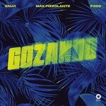 cover: Max Pizzolante|P3SO|Salvi - Gozando