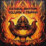 cover: Volum1k - Trippin