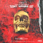 cover: Lanova - Don't Wanna Go