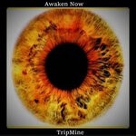 cover: Tripmine - Awaken Now