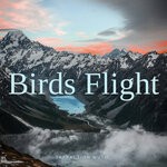 cover: Infraction Music - Birds Flight