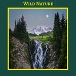 cover: Infraction Music - Wild Nature