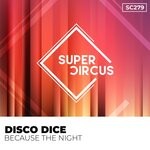 cover: Disco Dice - Because The Night